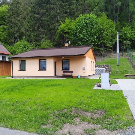 Lisny 105 Cely Novy Dum Se Zahradou U Jizery A Cyklo-Stezky New House By Jizera River And Bicycle Path Zelezny Brod 外观 照片